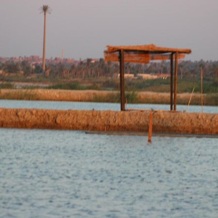 Kom El Dikka Agri Lodge ‘Izbat an Nāmūs Exterior foto