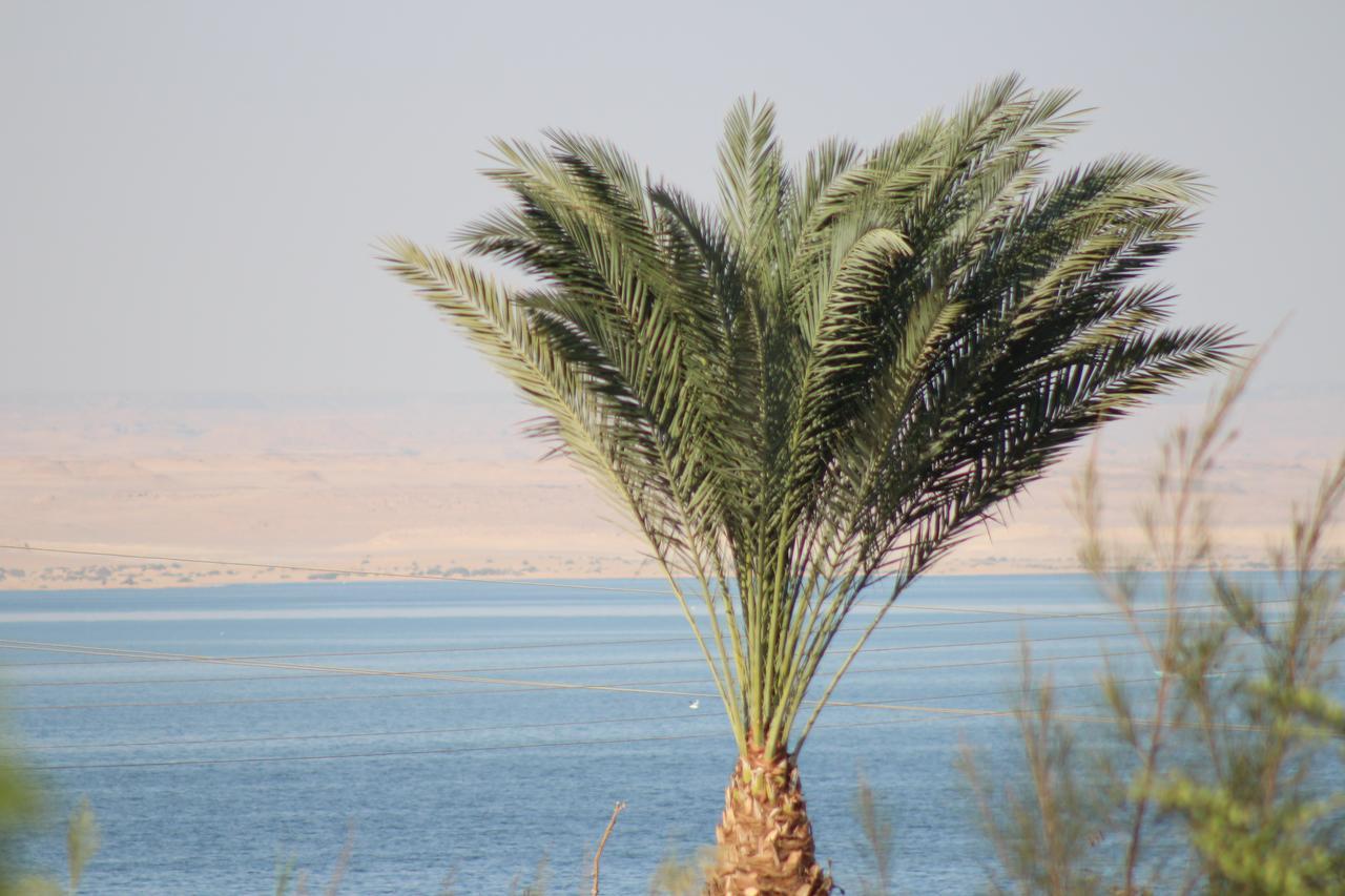 Kom El Dikka Agri Lodge ‘Izbat an Nāmūs Quarto foto